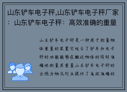 山东铲车电子秤,山东铲车电子秤厂家：山东铲车电子秤：高效准确的重量测量解决方案